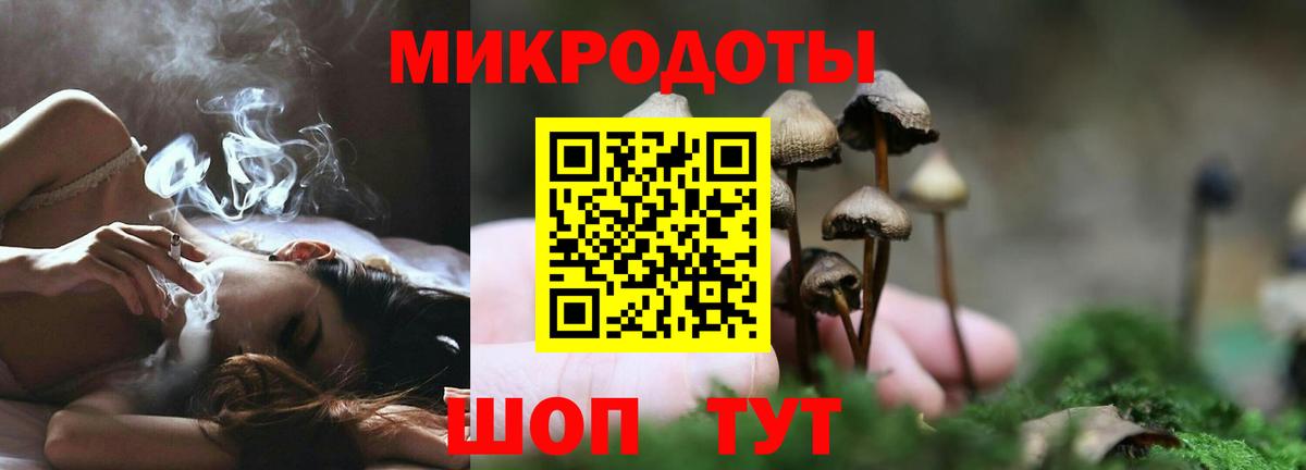 Галлюциногенные грибы GOLDEN TEACHER  Вход с VPN  Галлюциногенные грибы Psilocybine cubensis  Малгобек 